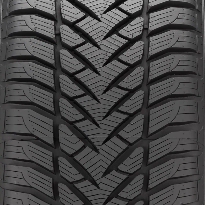 Eagle Enforcer Winter