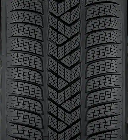 Scorpion Winter Run Flat