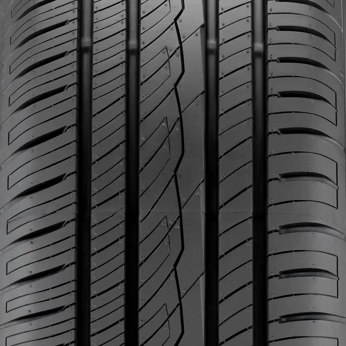 AVID Ascend (T-Speed Rated)