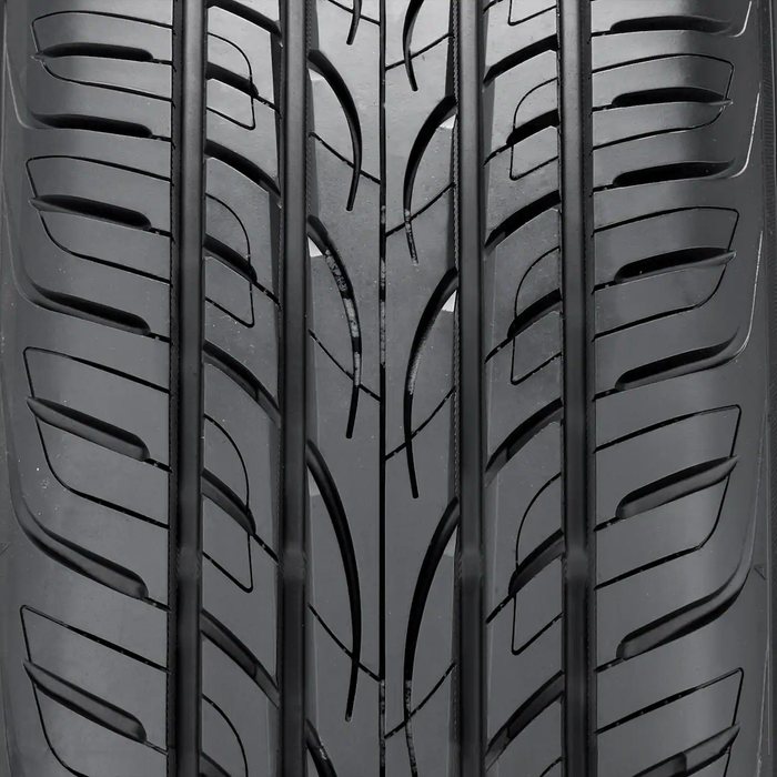 AVID ENVigor (H- or V-Speed Rated)