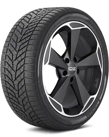 BluEarth Winter V905